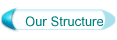 Our Structure